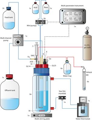 Nitrate Feed Improves Growth and Ethanol Production of Clostridium ljungdahlii With CO2 and H2, but Results in Stochastic Inhibition Events